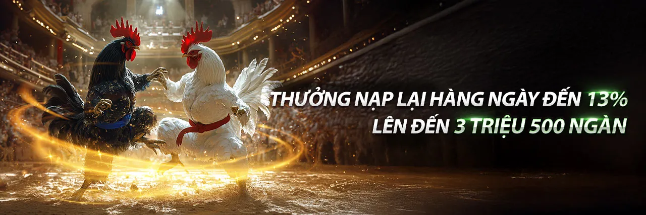 Cá cược thể thao 678win đỉnh cao 2026